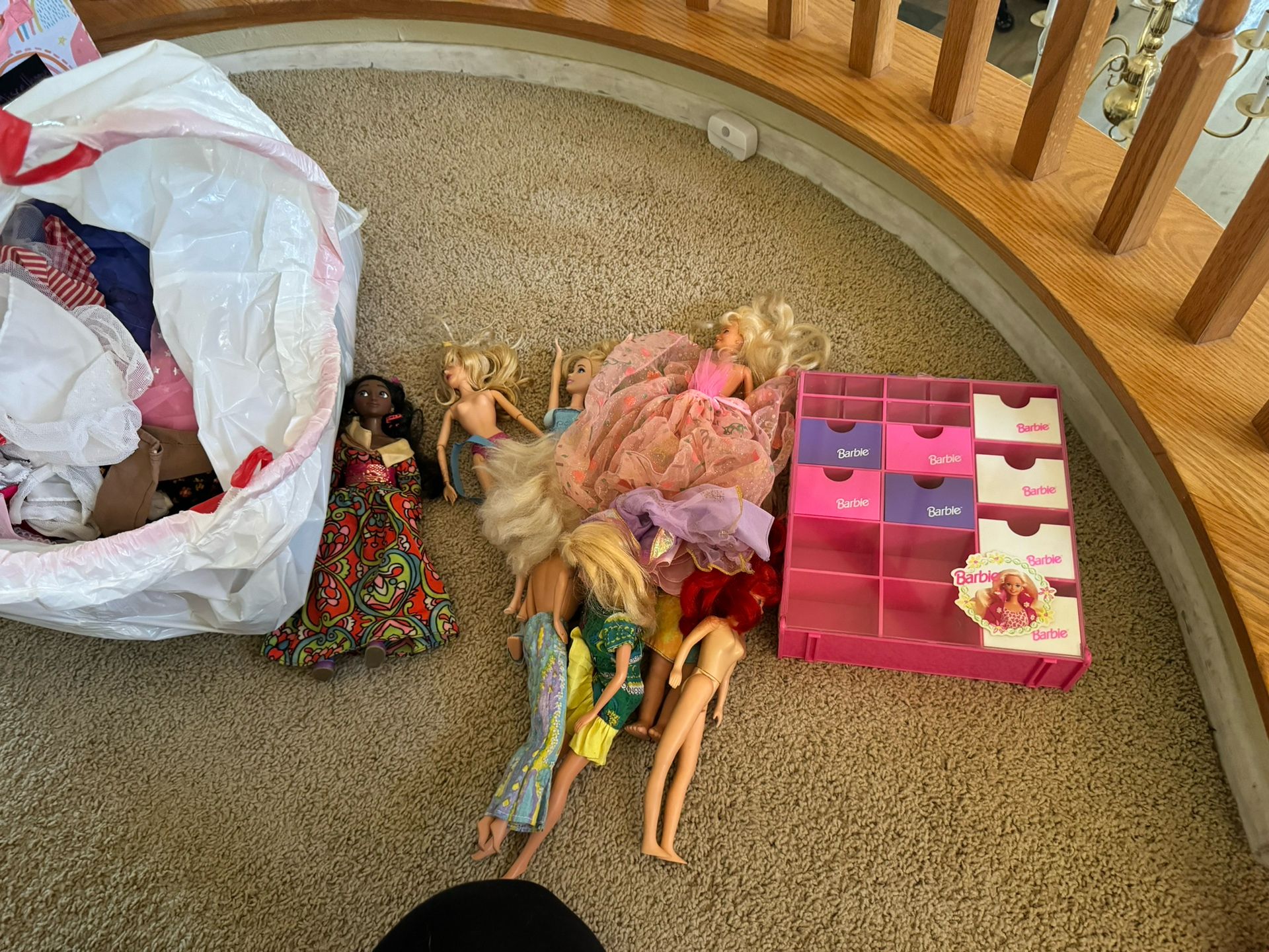 Bag Of Barbies And Clothes