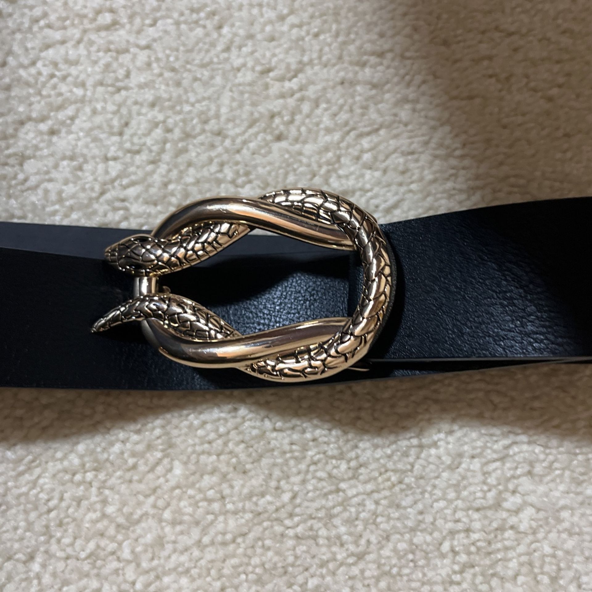 Express Snake Buckle Black Belt