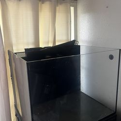 Fish Tank- 40 Gal Cube