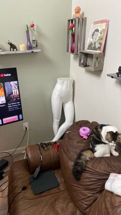 Bottom, Half Of Mannequin  30$