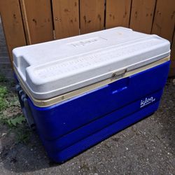 Cooler 54 Qt by IGLOO 