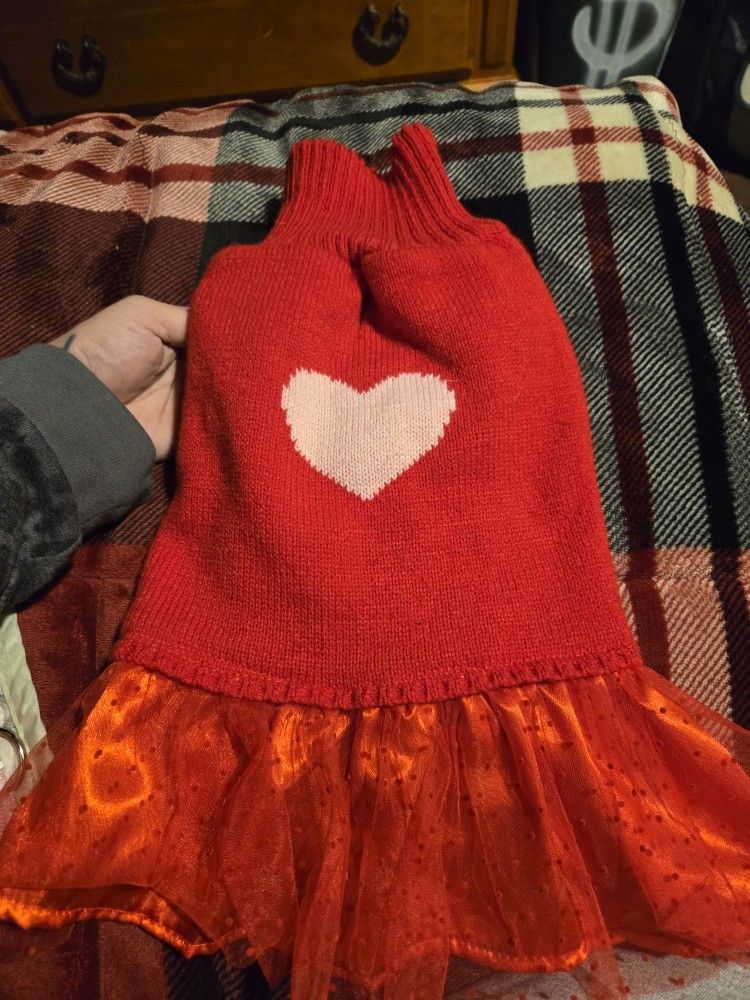 Dog Dress And Collar