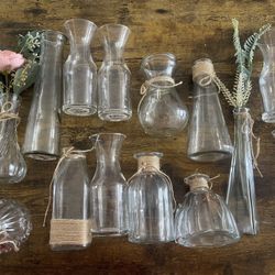 Glass Vases 