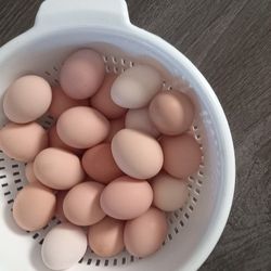Eggs