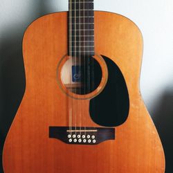 Seagull 12 String Acoustic Guitar