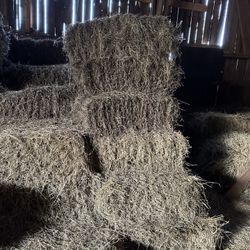 Garden hay