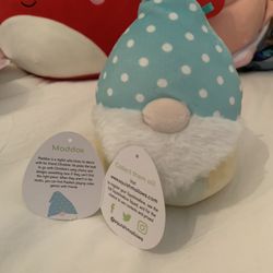 Maddox Squishmallow