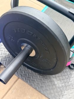 2 (45 lb ) Bumper Weight Plate