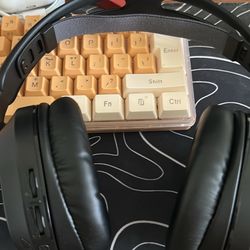 Gaming Headsets Turtle Beach 600X 