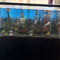 150 Fish Tank 