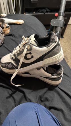 Coach shoes SIZE 8D MENS