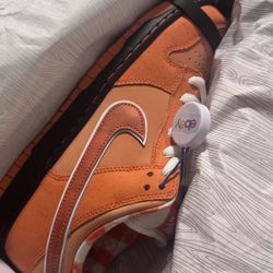 Nike SB “Orange lobster” DS Size 10.5