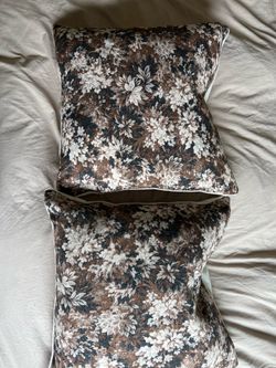 2 Pillows for $25