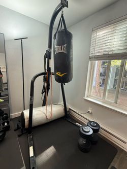 boxing / punching bags