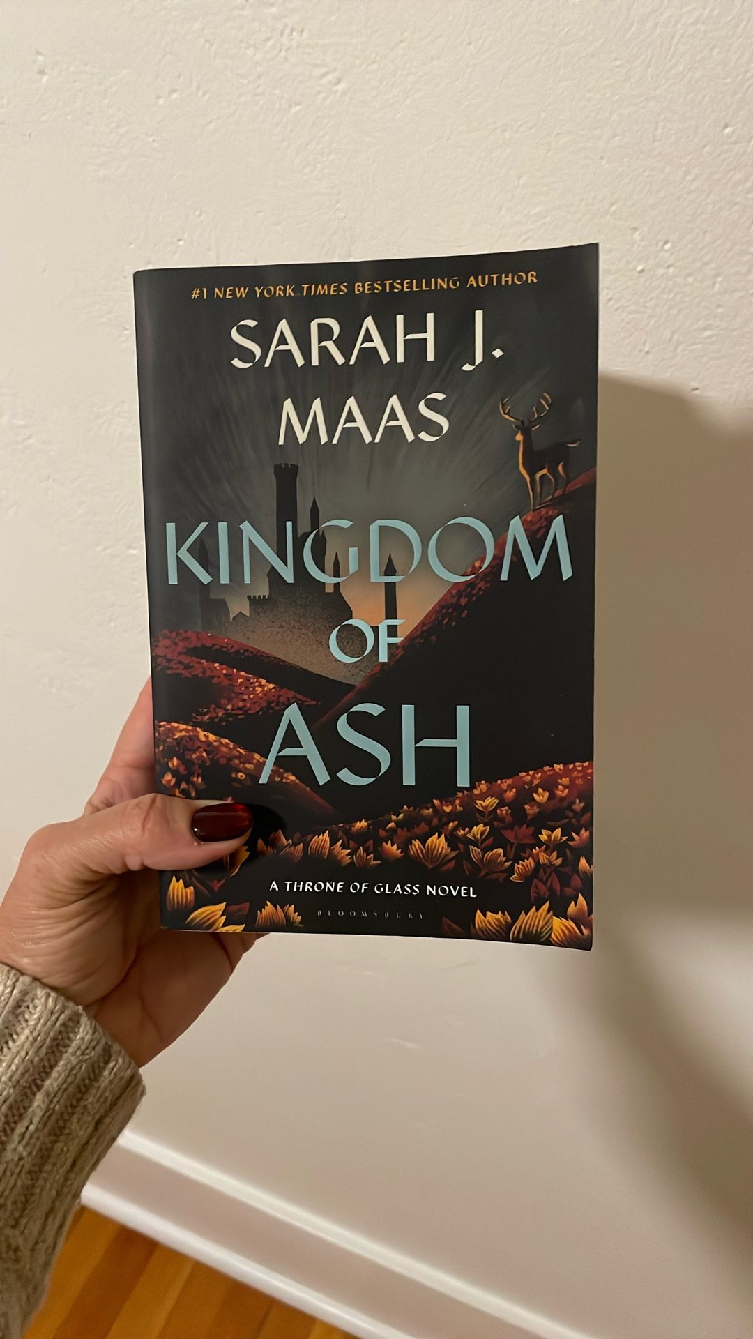 Book - Sarah Maas Kingdom Of Ash