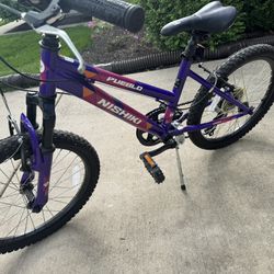 Small Purple Bike 
