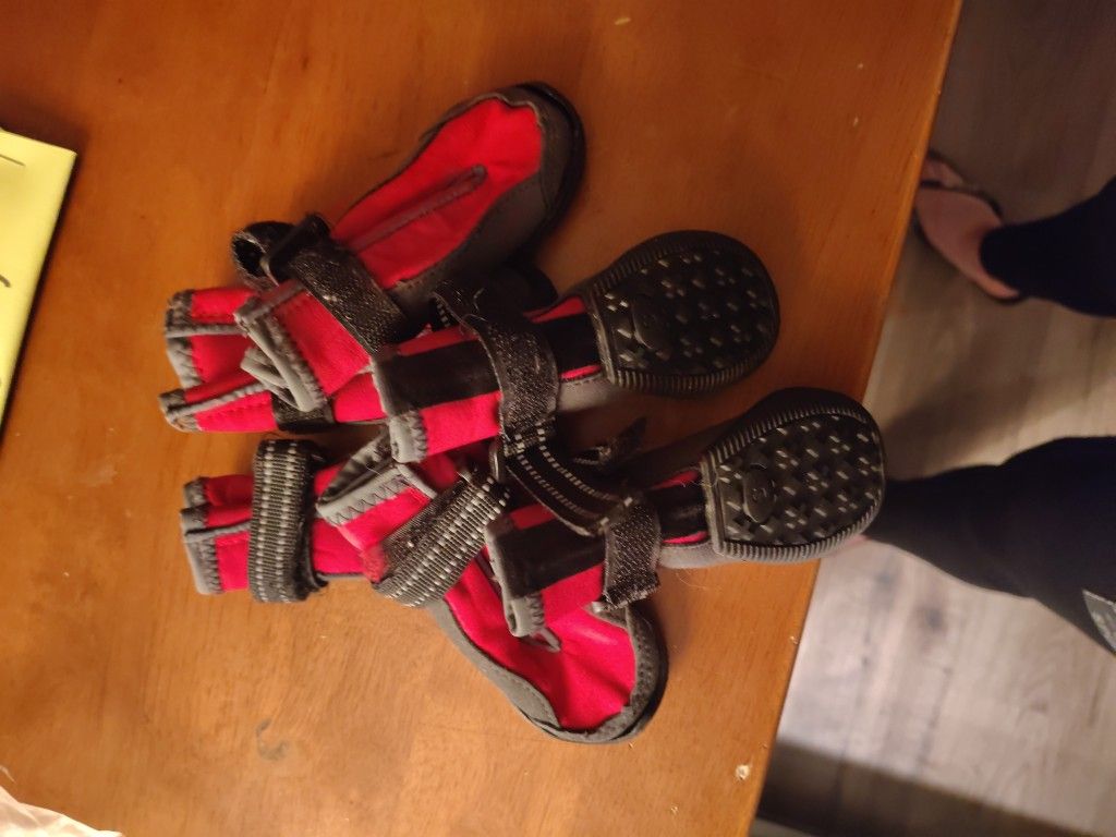 Pet Shoes Size Small