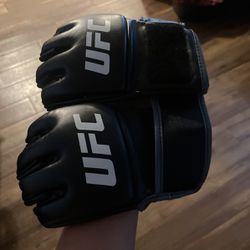 Ufc Gloves 