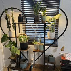 Plant Stand 