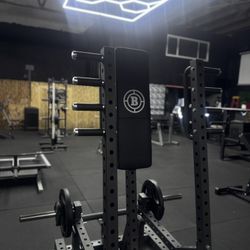 New Custom Standing Chest Press 