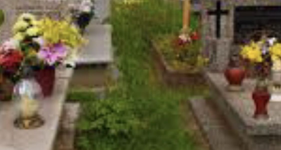 2 Plots