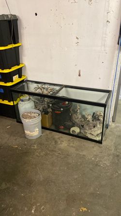 Fish tank 126 gallon