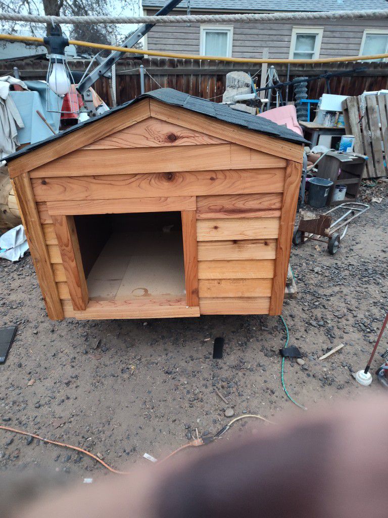 Large dog house