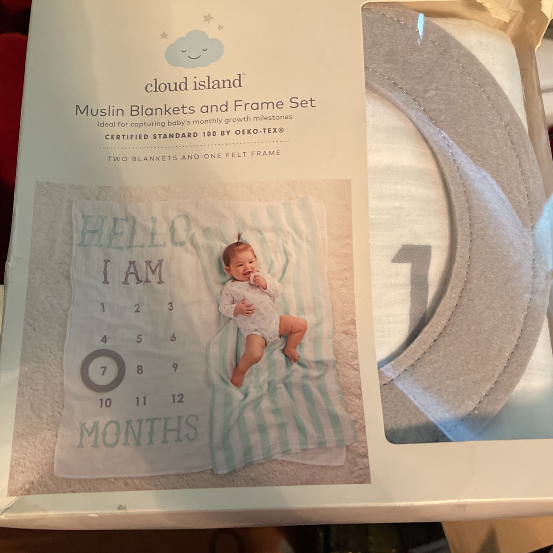 Baby Month Blanket 
