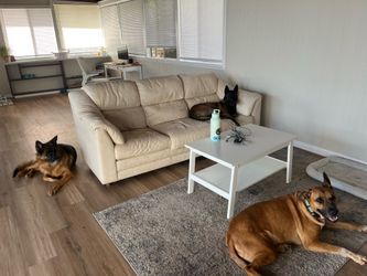 Free Rug Curb Alert