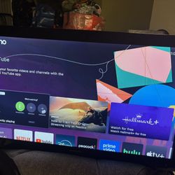 Magnavox 42 Inch 