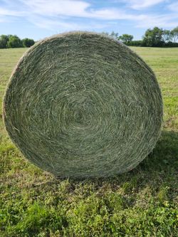 2026 4x5 alfalfa round bales
