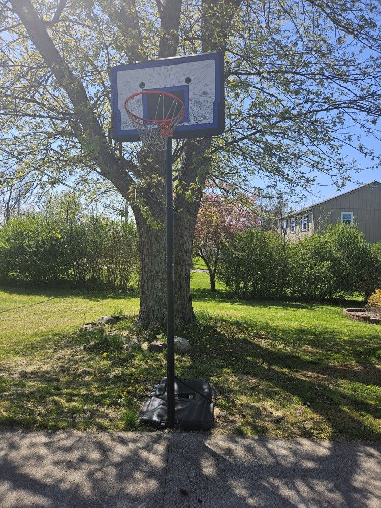 Lifetime height adjustable basketball hoop