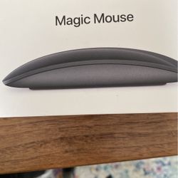 Apple Computer Mouse