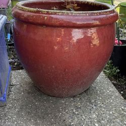 Ceramic planter with plants  Used, but still in good condition  No more need it. Pick up only