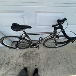 Trek 2100 ZR