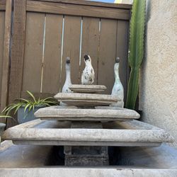 Cement Water Fountain For Only 150 .00 