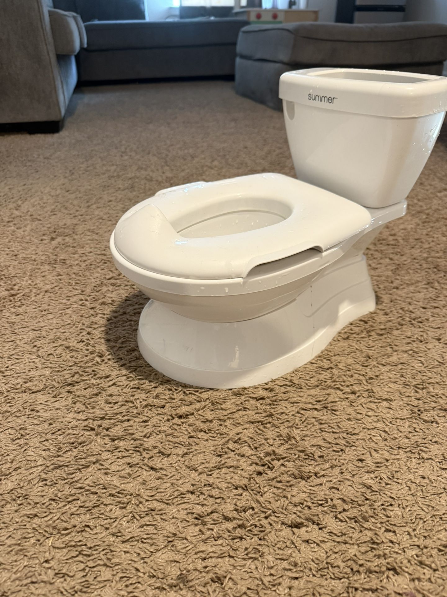 Mini Realistic Potty