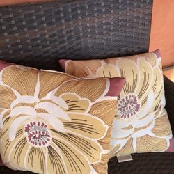 Outdoor Pillows