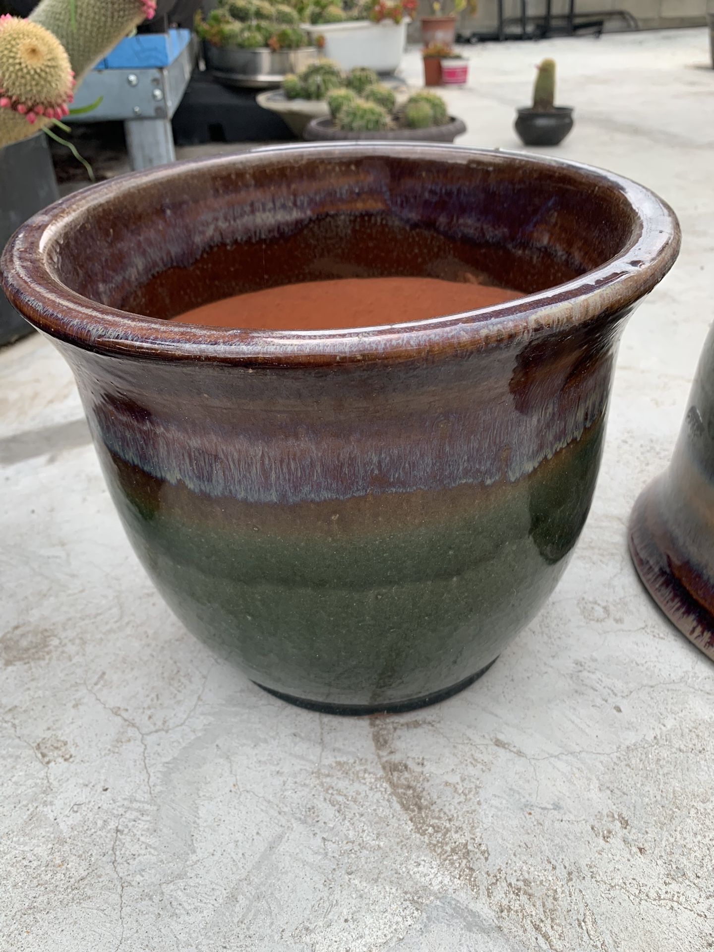 Large New Plant Pots - $23 for One