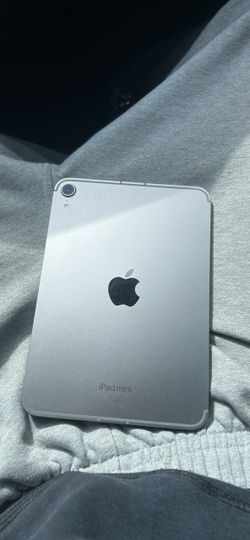 iPad mini  cellular 250gb