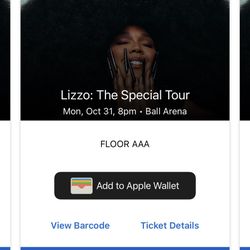 2 Floor Seats Section AAA for Lizzo 