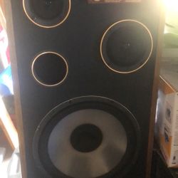 Large Acoustic Stereo Speakers 