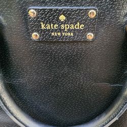 Kate Spade Rachelle Wellesley bag