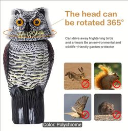 Yard Owls - New