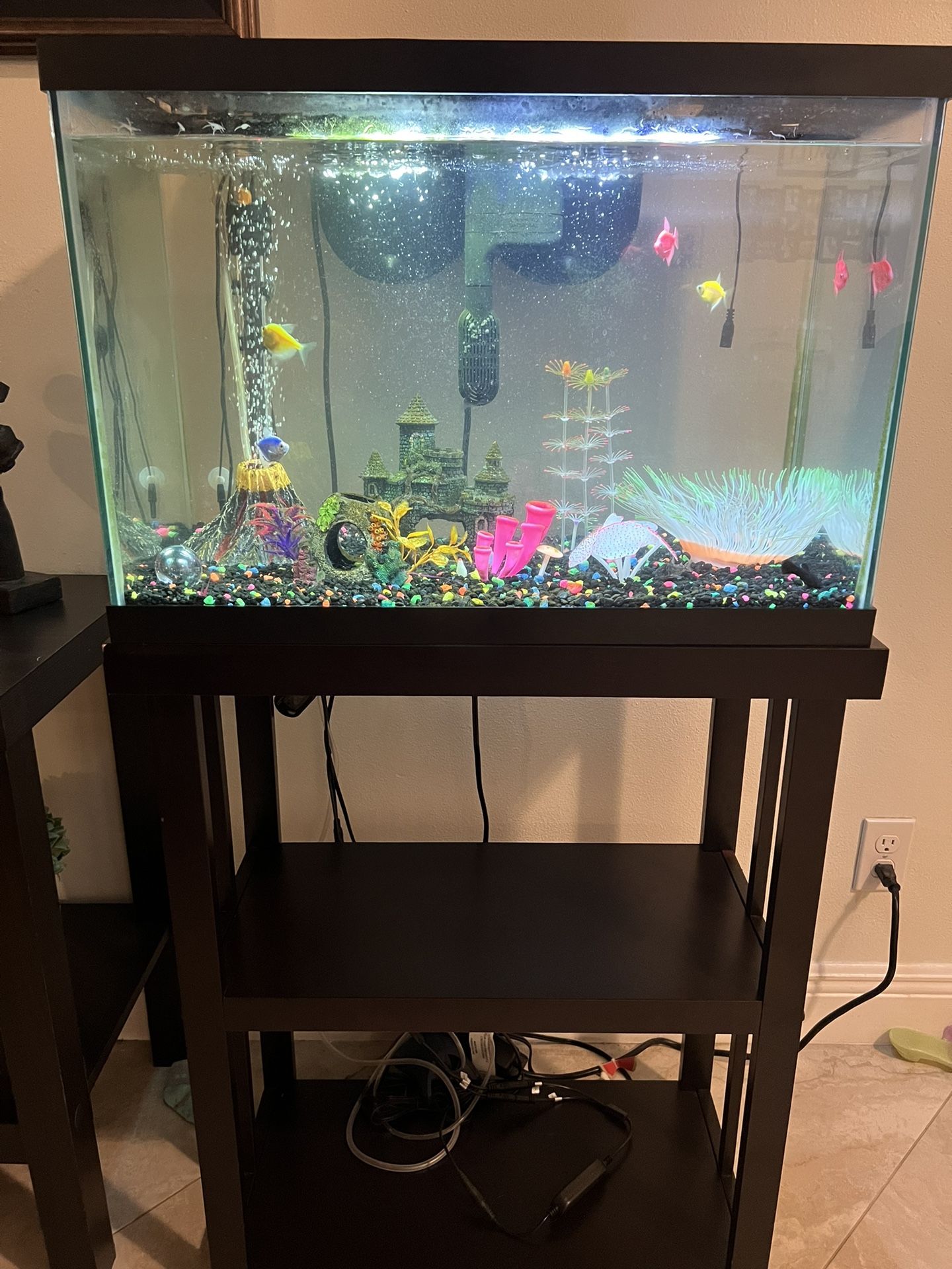 Aquarium 20g Complete