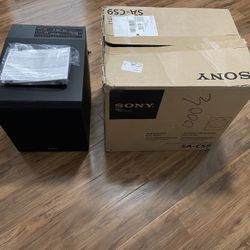 Sony 10 Inch Subwoofer 