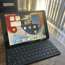 iPad 