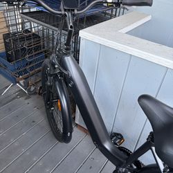Adult E-bike 