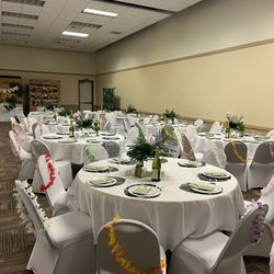 Chair Covers