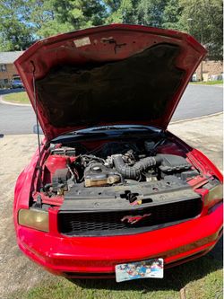 2005 v6 mustang